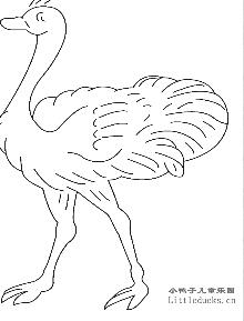 动物简笔画大全:鸵鸟的简笔画五