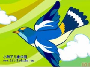 http://www.littleducks.cn/uploads/litimg/090522/00102013311.jpg