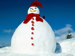 英语童话故事The Snow Man