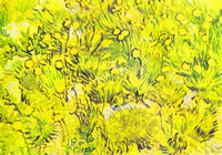 油画名作欣赏-黄色的花 梵高