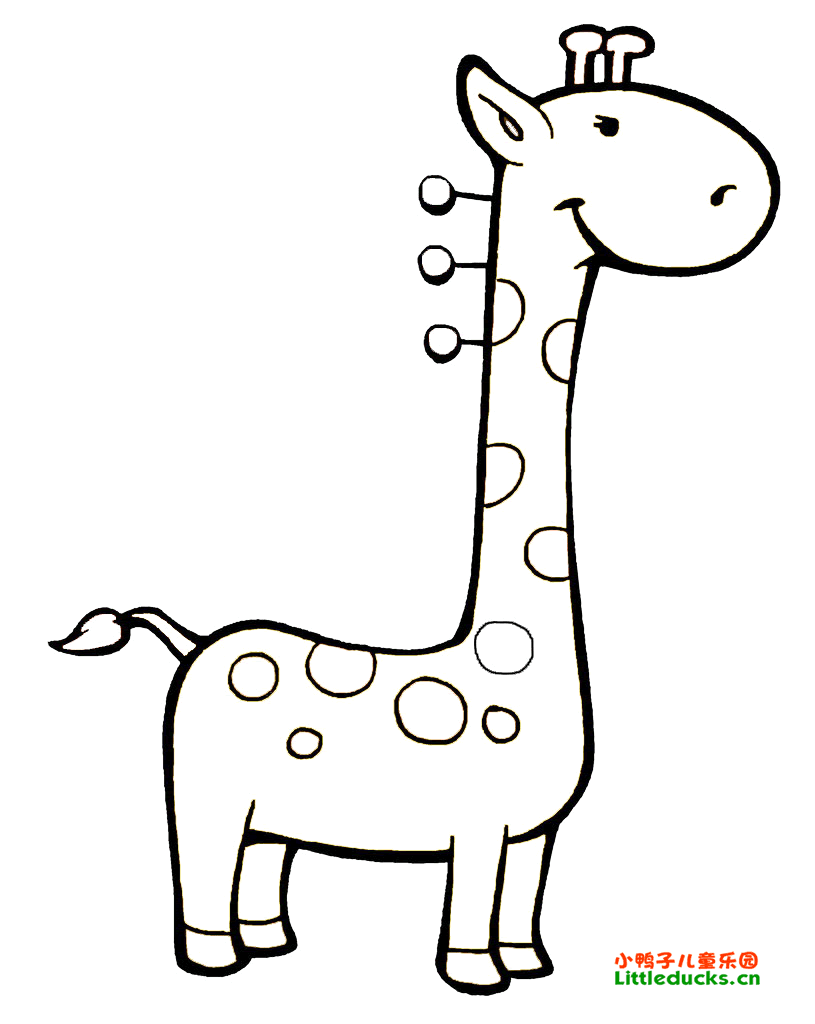 动物简笔画大全:长颈鹿简笔画图片1