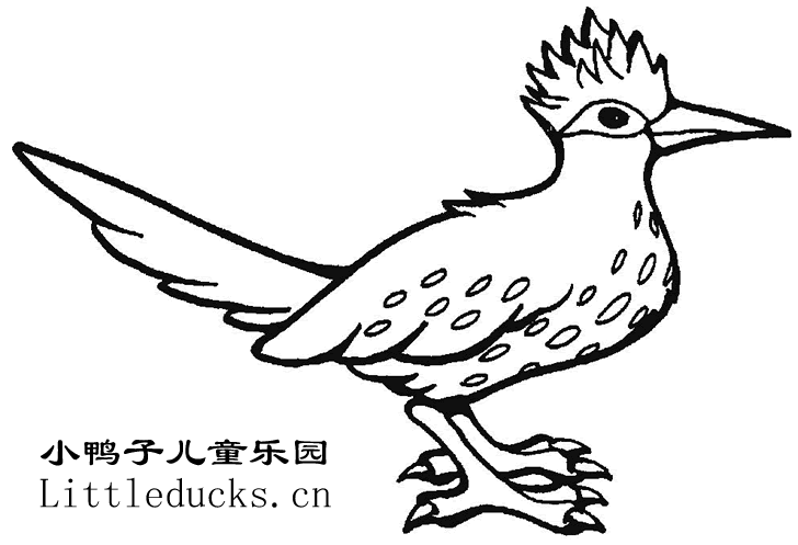 动物简笔画大全:小鸟的简笔画2