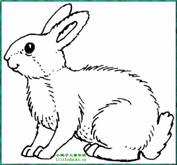 动物简笔画大全:小兔子简笔画15