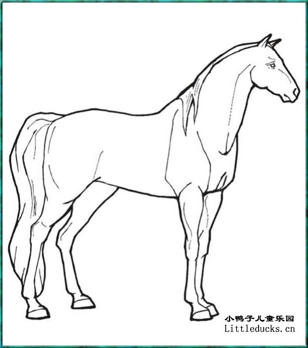 马的简笔画图片10