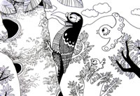 儿童线描画作品欣赏:啄木鸟