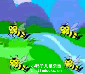 虫虫飞