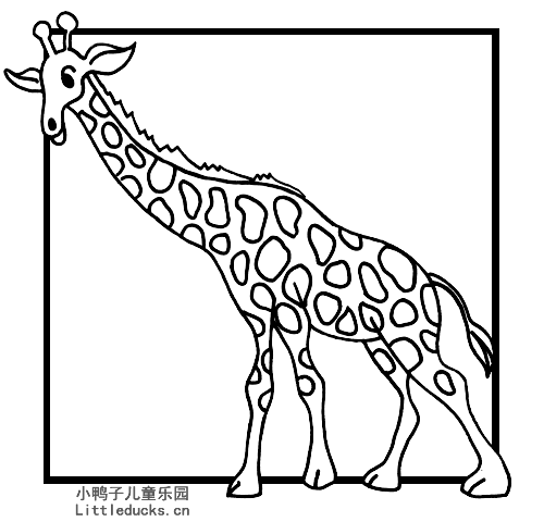 动物简笔画大全:长颈鹿简笔画图片3