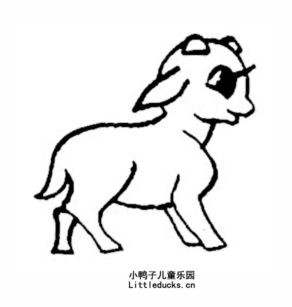 小羊的简笔画图片七