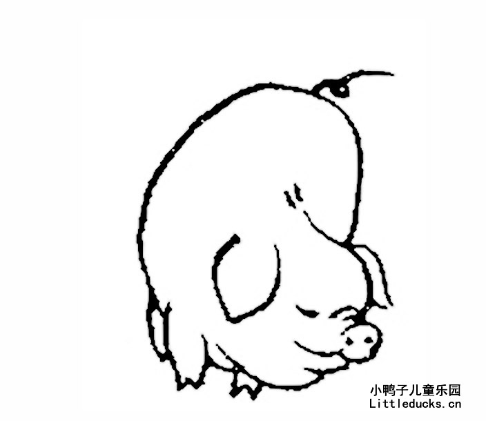 可爱的小猪的简笔画图片三