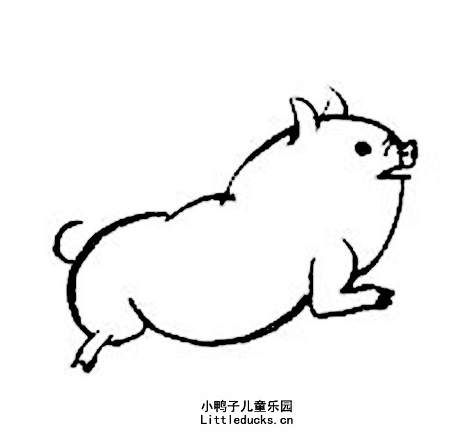 可爱的小猪的简笔画图片八