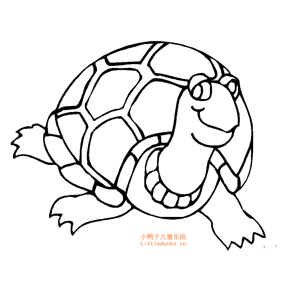 小乌龟的简笔画图片