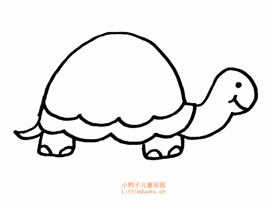小乌龟的简笔画图片