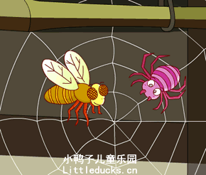 小蜘蛛织网