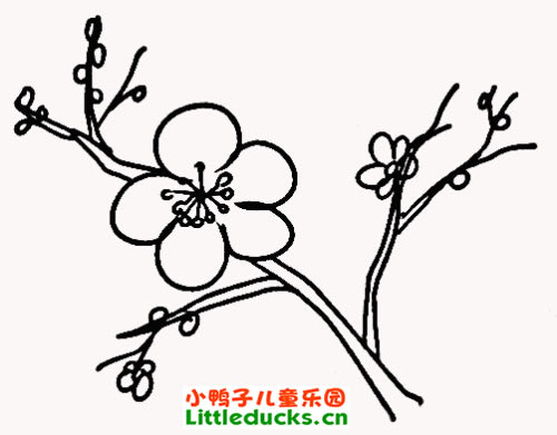 ÷ʻͼƬȫ(21)