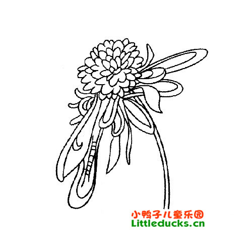 ջʻͼƬȫ(6)-ʻջ-СѼӶͯ԰littleducks.cn