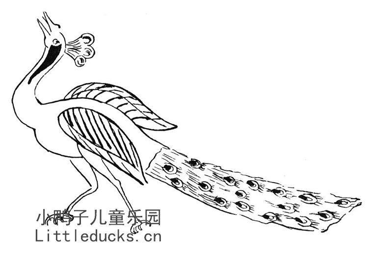 动物简笔画图片大全:美丽的孔雀简笔画5