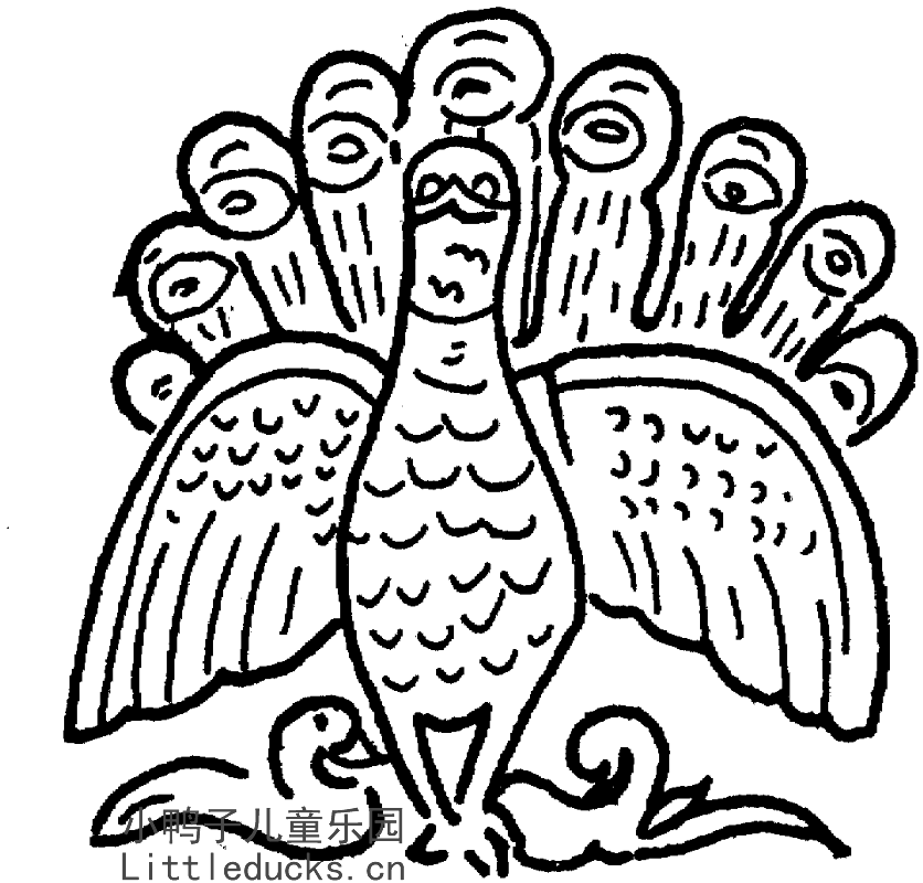 动物简笔画图片大全:美丽的孔雀简笔画12