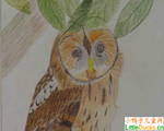 英国儿童绘画作品猫头鹰