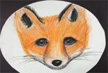 儿童画作品欣赏动物铅笔画-小狐狸