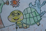 慢吞吞的乌龟铅笔画图片大全