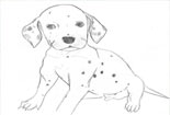 儿童画铅笔画图片-斑点狗