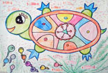 儿童画作品欣赏动物铅笔画-小蝌蚪找妈妈