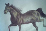 手绘彩色简单铅笔画-奔驰的骏马