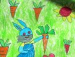 小兔种萝卜