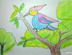 啄木鸟蜡笔画