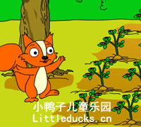 幼儿故事视频:小松鼠找花生