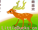 童话故事动画片泉水边的鹿