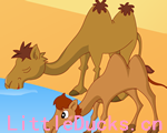 寓言故事动画片老骆驼和小骆驼