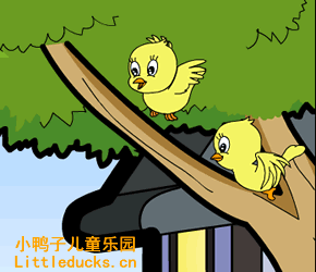 蜗牛和黄鹂鸟