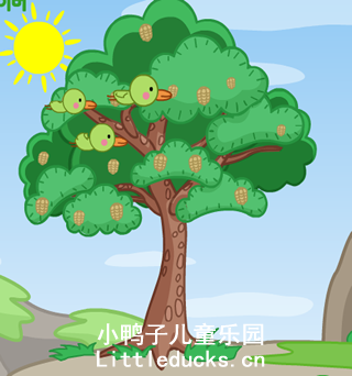 韩国儿歌松树视频