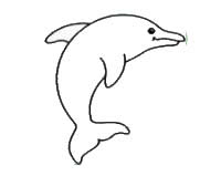 儿童简笔画教程海豚简笔