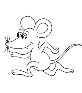 儿童简笔画教程:好奇的老鼠简笔画画法4
