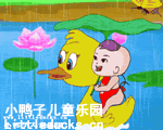 幼儿儿歌放鸭鸭视频