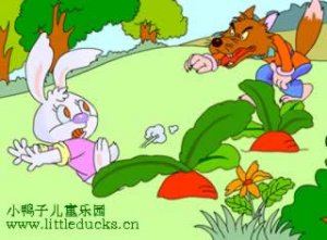 幼儿故事视频大全:聪明的小兔