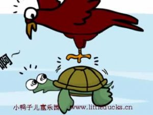 儿童故事flash想飞的乌龟
