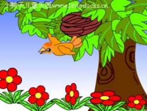 儿童故事视频flash小鸟和牵牛花